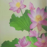 浊世莲花